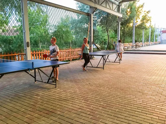 Спортивный Центр Стимул в Орджоникидзе: фото 16