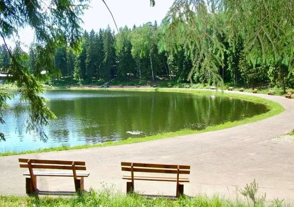 Дом Отдыха Царский Лес: фото 5