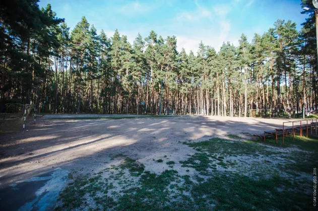 Детский лагерь Ёлочка в Липецкой области (ДОЛ): фото 4
