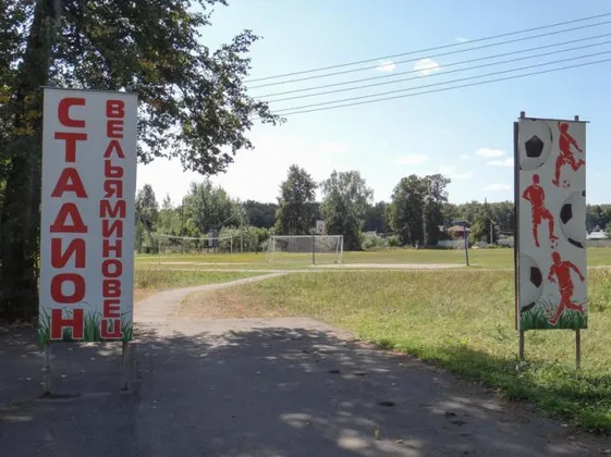 Стадион Вельяминовец В Домодедово: фото 3