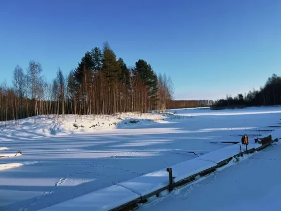 Парк-отель Чеснава: фото 29