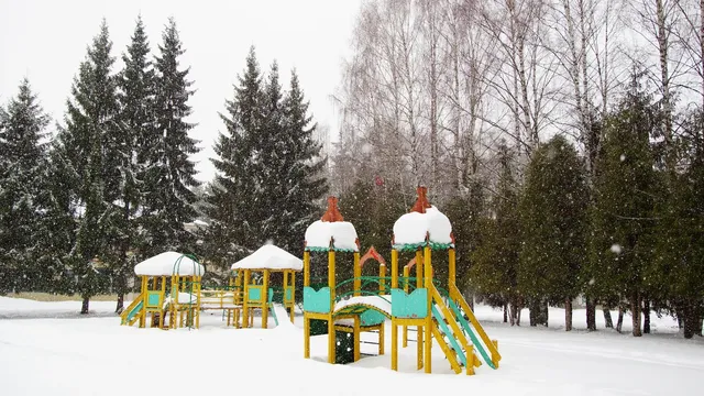 Детский оздоровительный лагерь Высоковский бор в Ярославской области: фото 19