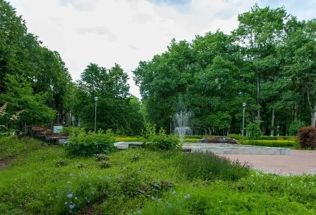 Санаторий Зеленый город в Нижнем Новгороде: фото 2