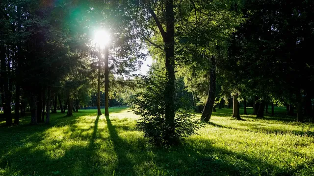 Детский лагерь Наукоград (ДОЛ)