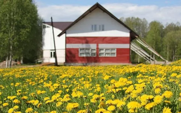 Детский Оздоровительный Лагерь Карельская Березка: фото 2