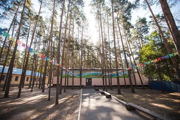 Детский лагерь Ёлочка в Липецкой области (ДОЛ): фото 9