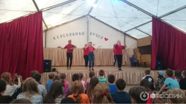 ДОЛ Серебряный Ручей: фото 3