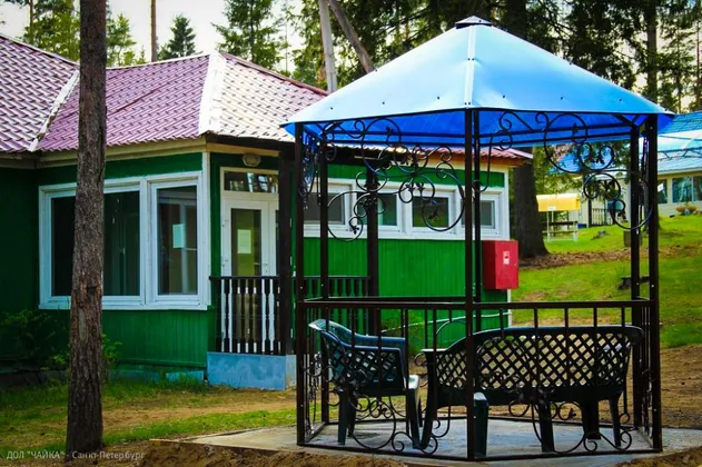 ДОЛ Чайка в СПб: фото 24
