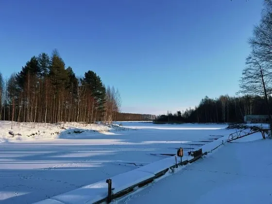 Парк-отель Чеснава: фото 27