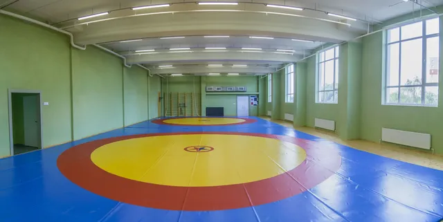 Государственное автономное учреждение дополнительного образования Рязанской области «Спортивная школа олимпийского резерва «Академия единоборств»: фото 16