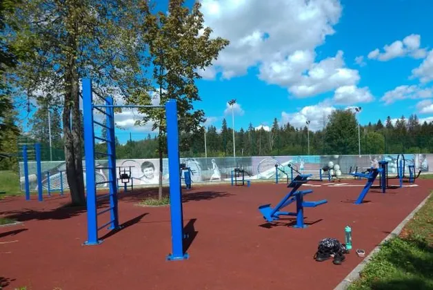 База отдыха Красная гвоздика в Московской области: фото 10