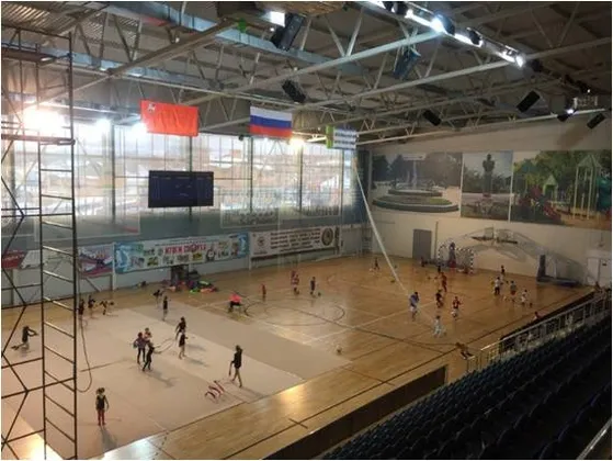 Дворец спорта Озёры в Коломне: фото 7