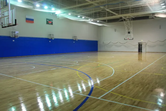 Дворец спорта Видное в Московской области: фото 7