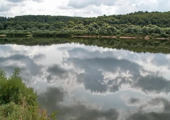 Пансионат Лужки: фото 12