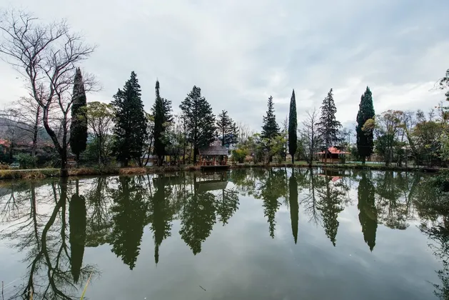 Эко-Отель Дивный в Краснодарском крае: фото 10