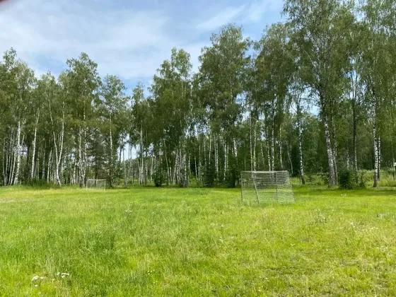 Парк-отель Светлое озеро в Московской области: фото 3