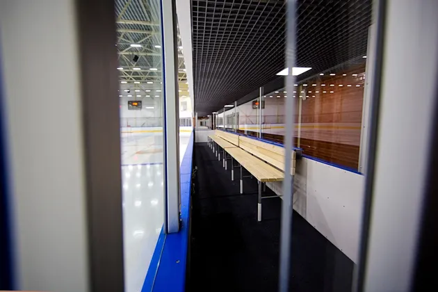 Ледовая арена Ice Rink в Новоселье: фото 6
