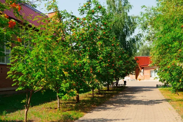 База отдыха Стрежень в Самарской области: фото 8