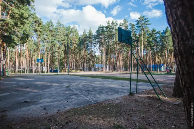Детский лагерь Ёлочка в Липецкой области (ДОЛ): фото 3