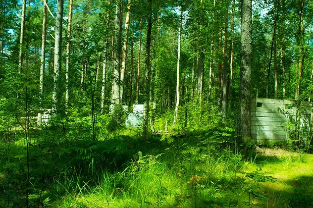 Загородный комплекс "Коробицыно-Каскад" в Ленинградской области: фото 13
