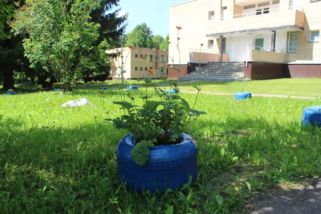 ДОЛ Ритм в Московской области: фото 15
