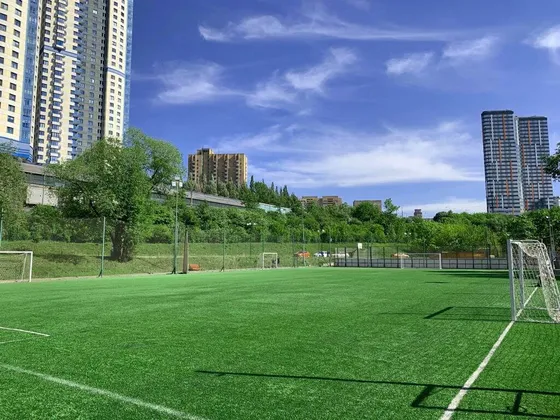 Спортивная площадка Олимп арена в Москве: фото 2