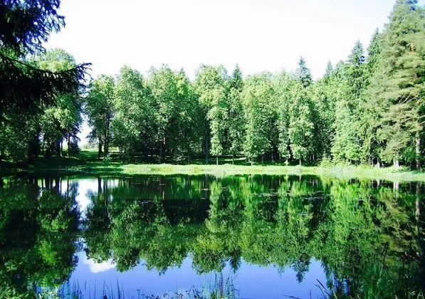 Парк-Отель Огниково: фото 29