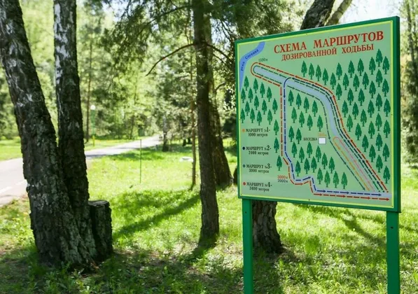 Оздоровительный Комплекс Десна: фото 14