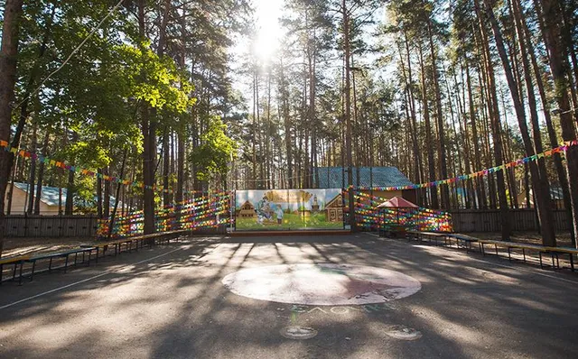 Детский лагерь Ёлочка в Липецкой области (ДОЛ): фото 12
