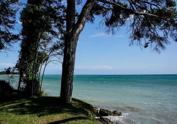 Лагуна