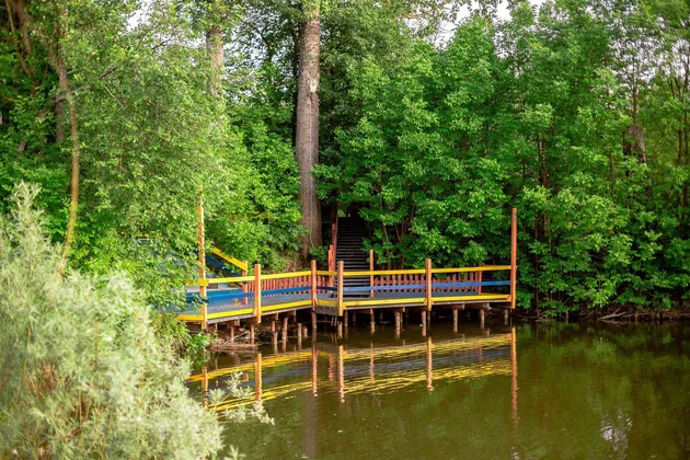 Дом отдыха Вкс Кантри: фото 27