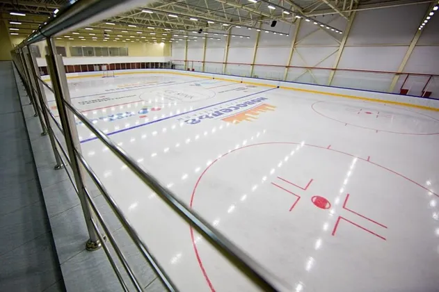 Ледовая арена Ice Rink в Новоселье: фото 4