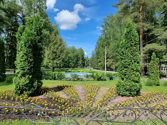 Санаторий Зеленый городок в Ивановской области: фото 4