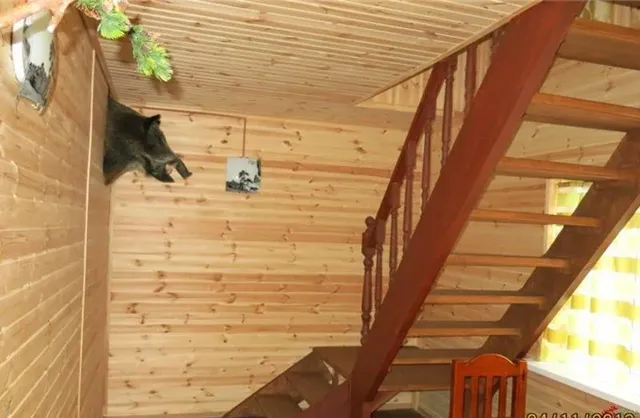 База отдыха Олений хутор