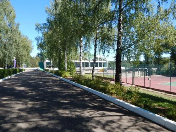 База отдыха Красная гвоздика в Московской области: фото 2