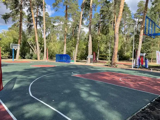 Детский оздоровительный лагерь Лужки в Московской области: фото 5