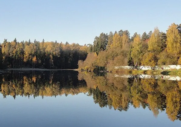 Загородный учебно-оздоровительный комплекс «Солнечный»: фото 28