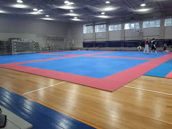 Спортивно-оздоровительный комплекс в Чехове: фото 6