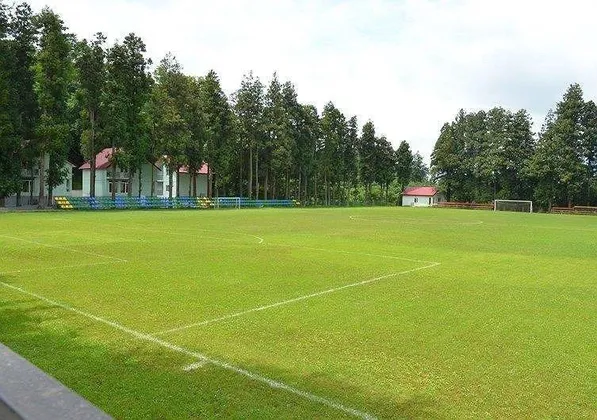Футбольный Городок Batumi-Club: фото 17