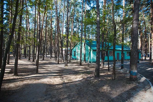 Детский лагерь Ёлочка в Липецкой области (ДОЛ): фото 13