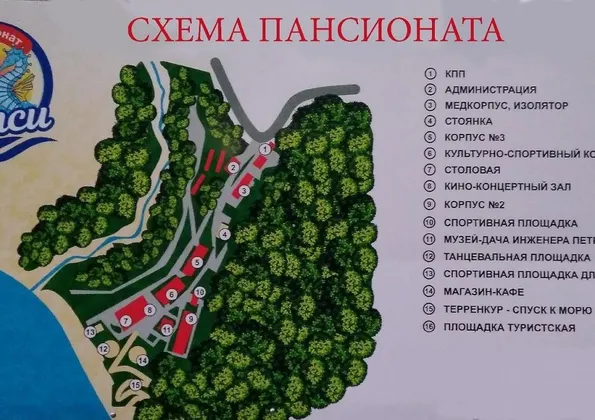 Веселый Дельфин: фото 13