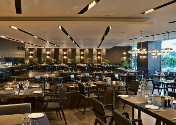 Maxx Royal Belek Golf Resort: фото 18