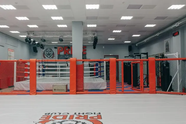 Спортивный комплекс Белые столбы Домодедово: фото 16