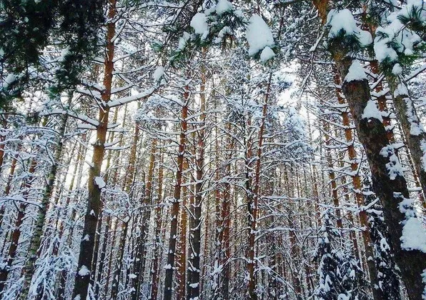 Русская Душа: фото 32