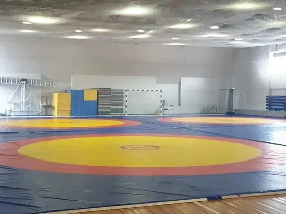Спортивно-оздоровительный комплекс в Чехове: фото 7