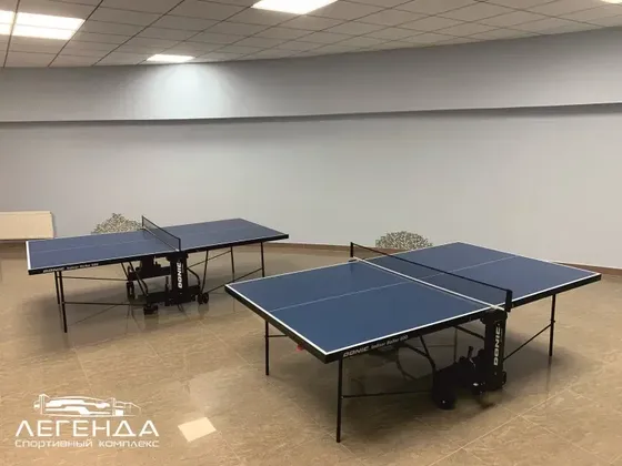Спортивный Комплекс Легенда в Домодедово: фото 10