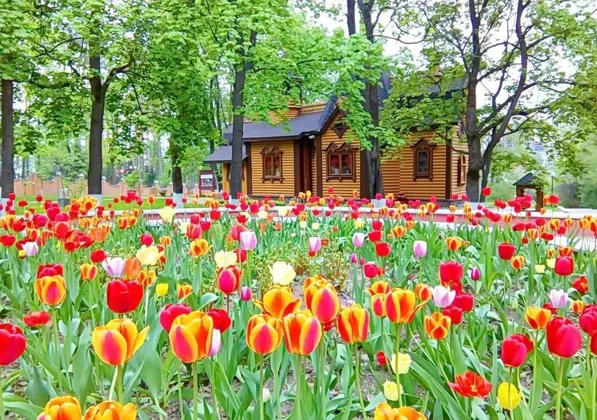 Клуб-Отель Подмосковный: фото 7