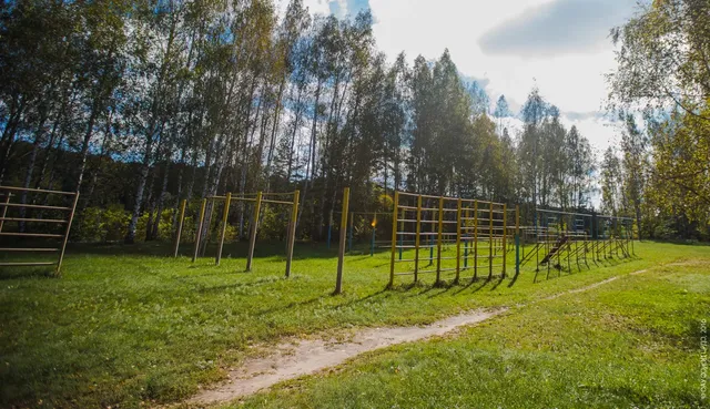 ДОЛ Березка В Липецкой Области: фото 10
