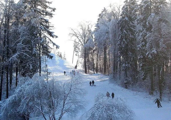 Клуб-Отель Подмосковный: фото 19
