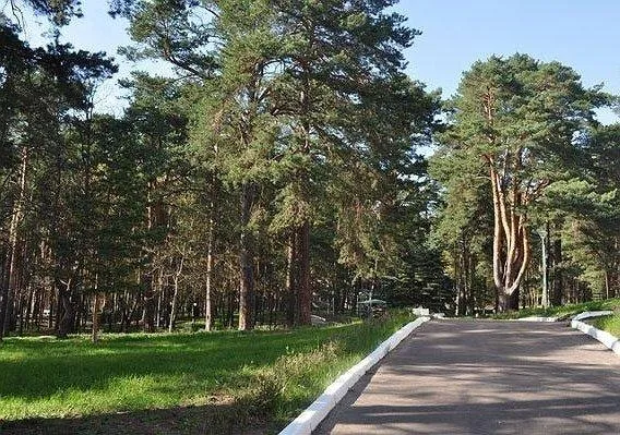 Пансионат Лужки: фото 13